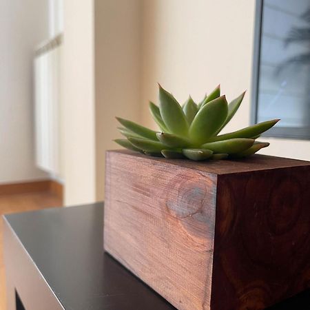 Apartamento Nuskis Porriño Dış mekan fotoğraf